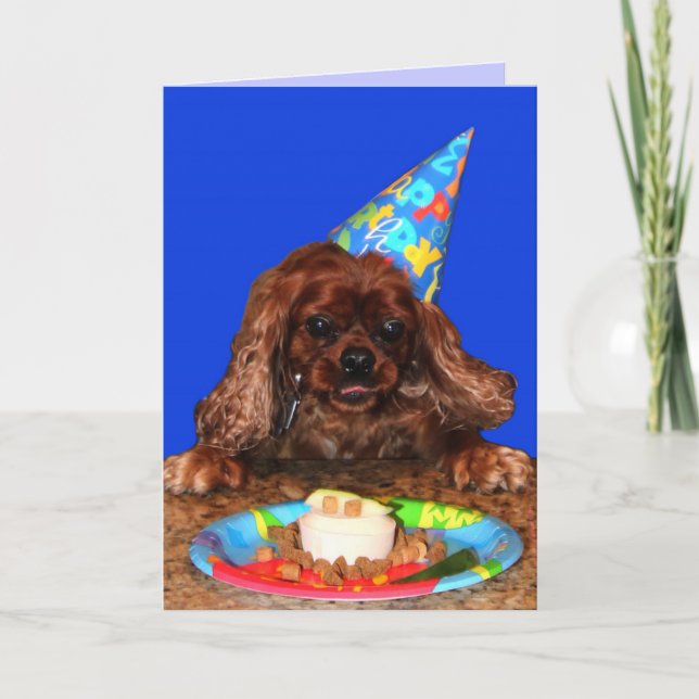 Cartão Ruby Cavalier Birthday Card (Frente)