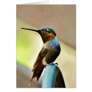 Cartão Ruby e pequeno beija-flor-verde