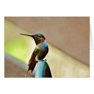 Cartão Ruby e pequeno beija-flor-verde