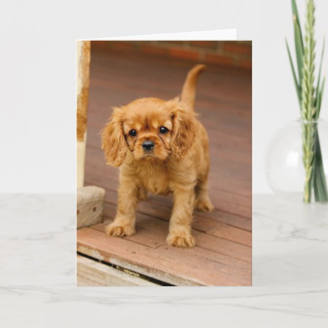 Cartão Ruby on the porch.jpg (Frente)