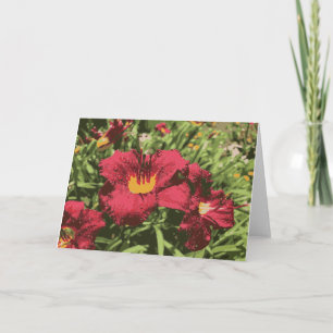 Cartão Ruby Spider Daylily Wet Flowers Lily Red Yellow