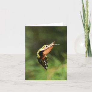 Cartão Ruby-throated Hummingbird #5 - Blank Note Card