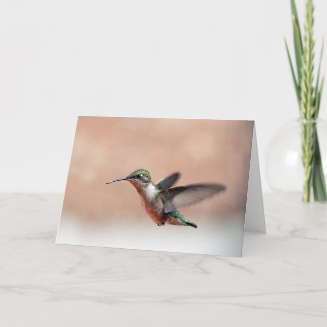 Cartão Ruby Throated Hummingbird Blank Note Card (Frente)