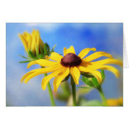 Cartão Rudbeckia Summer Dreams