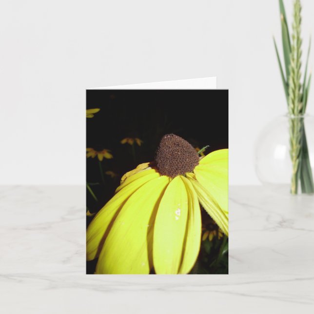 Cartão Rudebekia notecard (Frente)