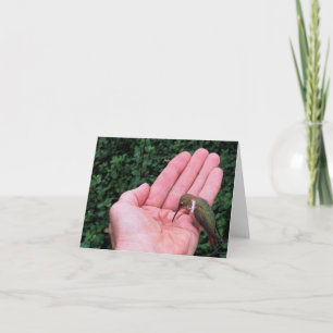 Cartão Rufous/Allen's Hummingbird • Joe Sweeney - card