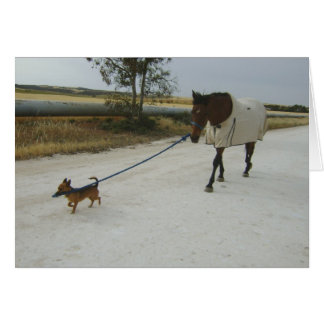 Cartão Rumo para a página inicial