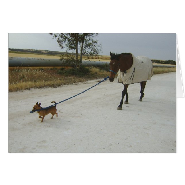 Cartão Rumo para a página inicial (Frente Horizontal)