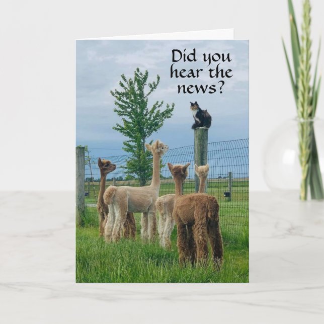 CARTÃO RUMOR É QUE **55º ANIVERSÁRIO** NÃO TÃO RUIM (Frente)