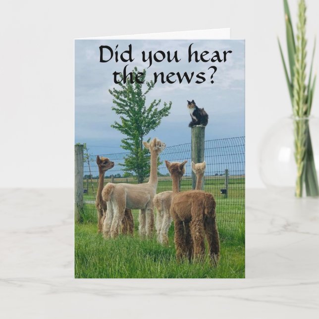 CARTÃO RUMOR É QUE **70 ANIVERSÁRIO** NÃO TÃO RUIM (Frente)