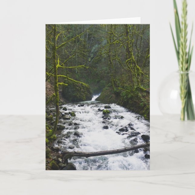 Cartão Runoff from Bridal Veil Falls, Oregon (Frente)
