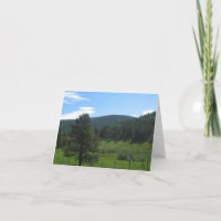 Rural Taos, New Mexico