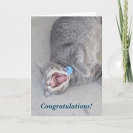 Cartão Russ The Cat Congratulations Card
