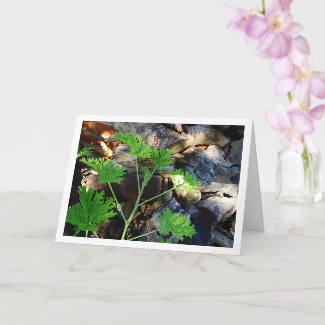 Cartão Rustic Citronella Leaf Portrait Card (Orquídea)