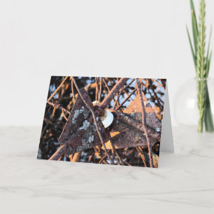 Cartão Rusty Lixo, Aniversário