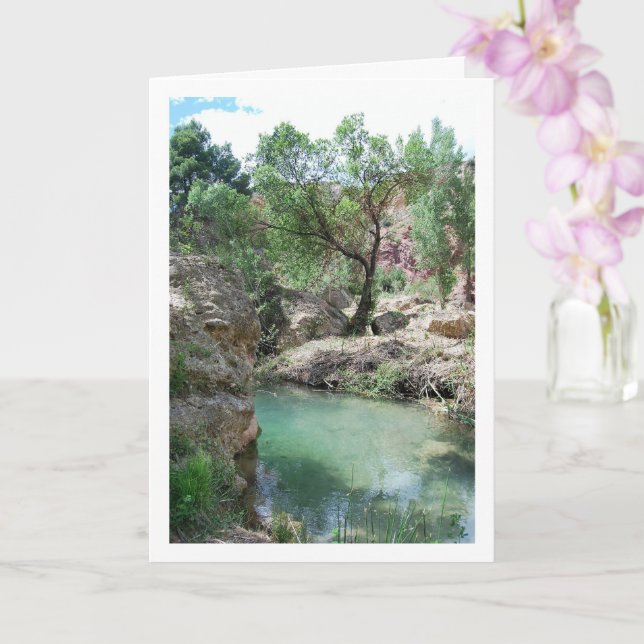 Cartão Ruta del Agua em Chelva, Valência, Espanha (Orquídea)