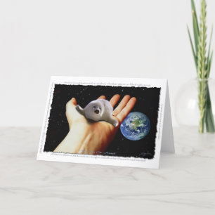 Cartão S.O.S. SAVE OUR HARP SEALS Greeting Card