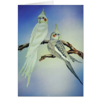 Cartão Sabastian e Tootie-Ann