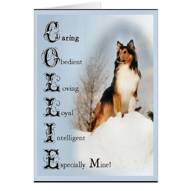 Cartão Sable Rough Collie Gifts (Frente)