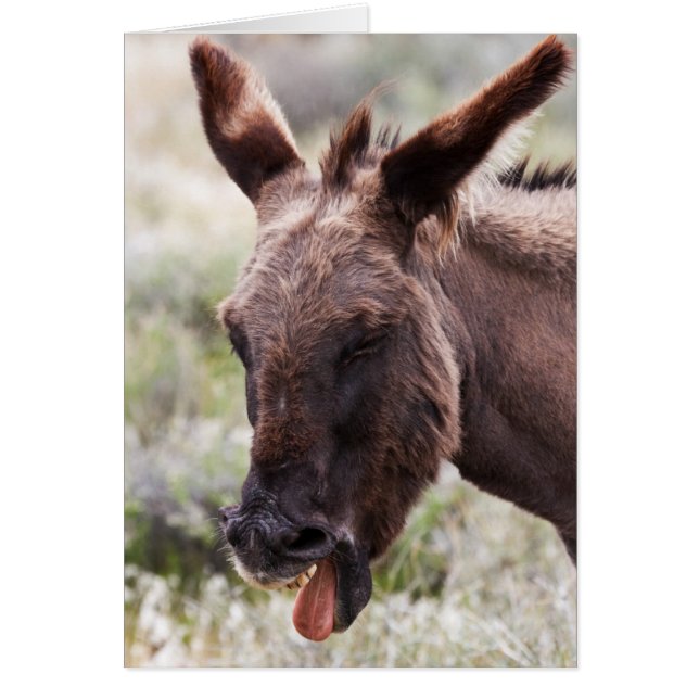 Cartão Sabor Incorreto (Frente)