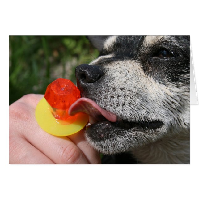 Cartão Saboroso (Frente Horizontal)