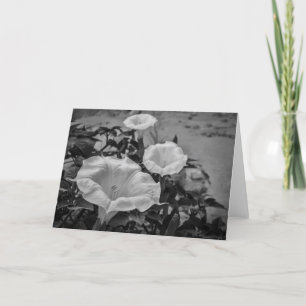 Cartão Sacred Datura