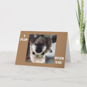 CARTÃO *SACUDIR DE VOCÊ* NO ANIVERSÁRIO MOSTRO O QUANTO E