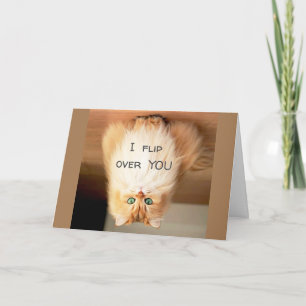 CARTÃO *SACUDIR DE VOCÊ* NO ANIVERSÁRIO MOSTRO O QUANTO E