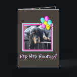 Cartão Sad & Cute Basset On Funny Birthday Card W/Balloon<br><div class="desc">Sad & Cute Basset On Funny Birthday Card W/Balloons,  Confetti,  And Present</div>