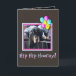 Cartão Sad & Cute Basset On Funny Birthday Card W/Balloon<br><div class="desc">Sad & Cute Basset On Funny Birthday Card W/Balloons,  Confetti,  And Present</div>