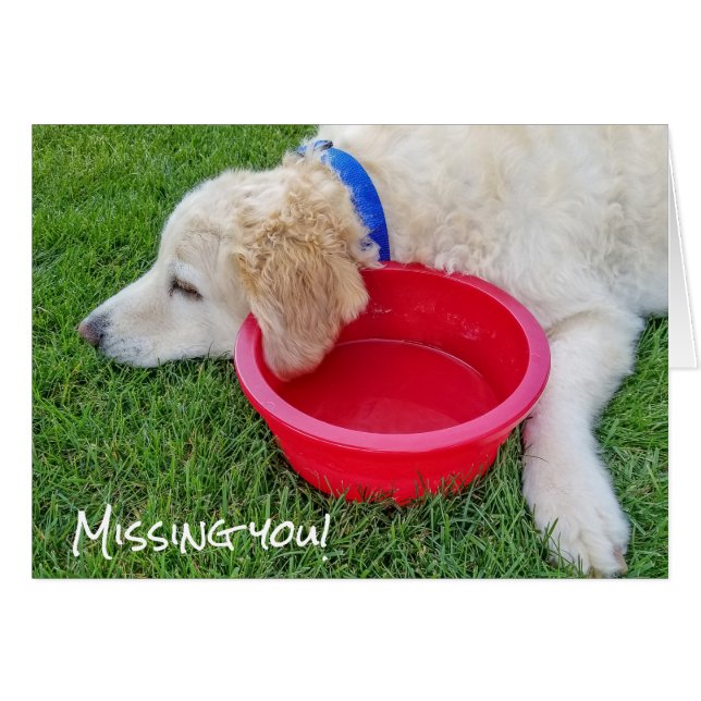 Cartão sad dog-missing you (Frente Horizontal)