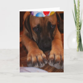 Cartão Sad English Mastiff Wearing Birthday Party Hat