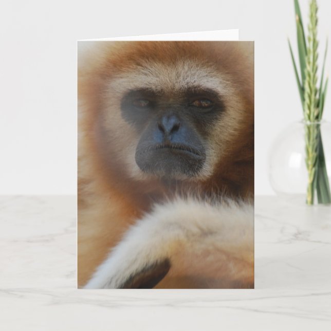 Cartão Sad Gibbon Greeting Card (Frente)