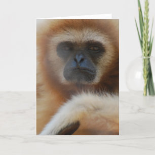 Cartão Sad Gibbon Greeting Card
