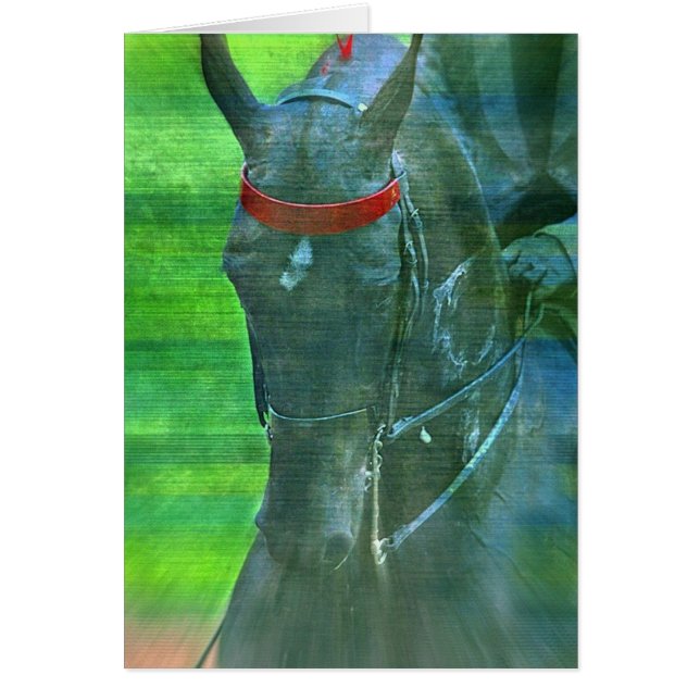 Cartão Saddlecriado Americano (Frente)