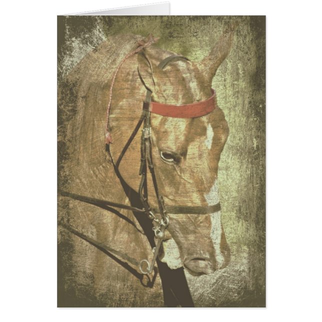 Cartão Saddlecriado Americano (Frente)