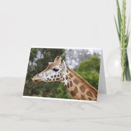 Cartão Safari África Mod Chique Destino Girafa