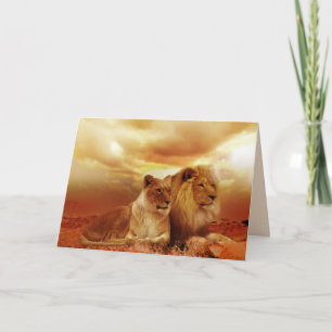 Cartão safari lions greeting card