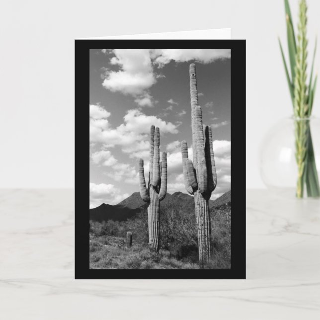 Cartão Saguaro Cactus Sonoran Desert Photo Saudação Cartõ (Frente)