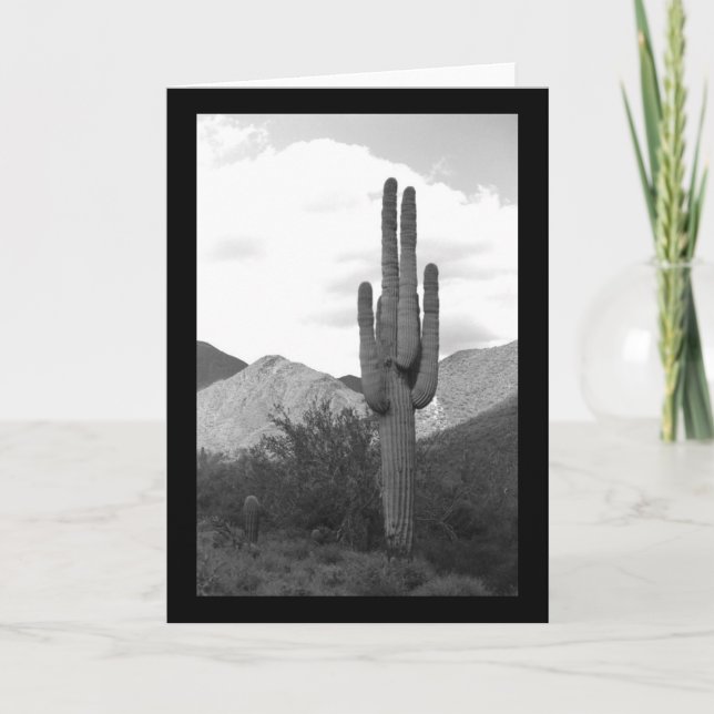 Cartão Saguaro Cactus Sonoran Desert Photo Saudação Cartõ (Frente)