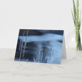 Cartão Saguaro Cactus Vision Quest, Natureza Esotérica