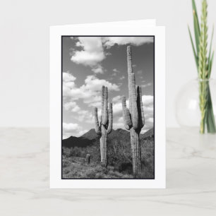 Cartão Saguaro Sentinels Greeting Card
