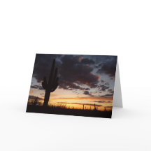 Saguaro Sunset III Arizona Desert Landscape