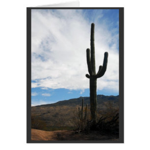 Cartão Saguaro Vista