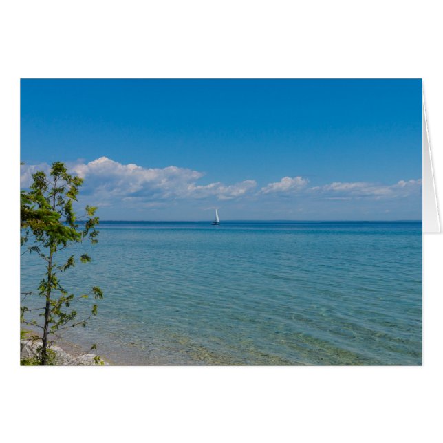 Cartão Sail Away (Frente horizontal)