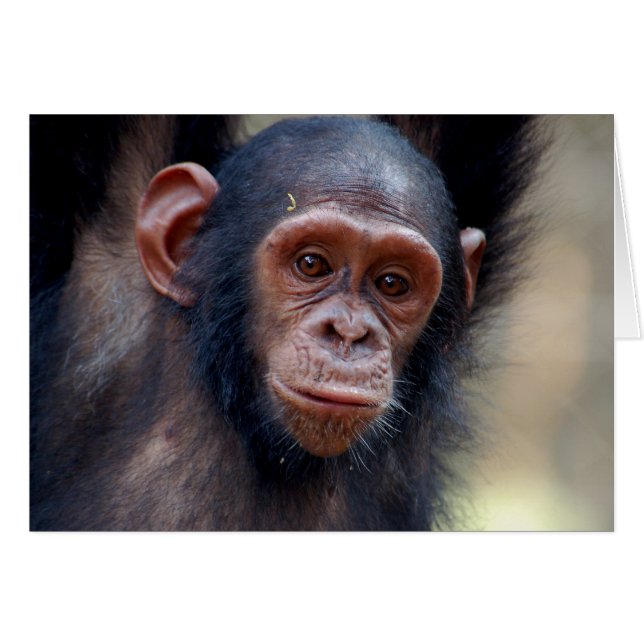 Cartão Saindo (Frente Horizontal)