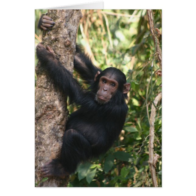 Cartão Saindo (Frente)