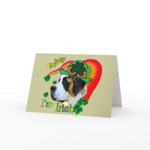Saint Bernard St Patricks Day