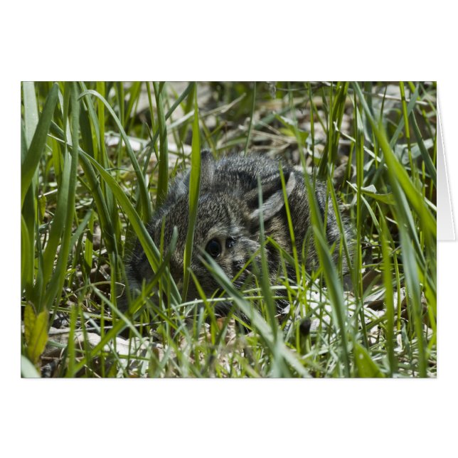 CARTÃO SAIU PELA PRIMEIRA VEZ (Frente Horizontal)