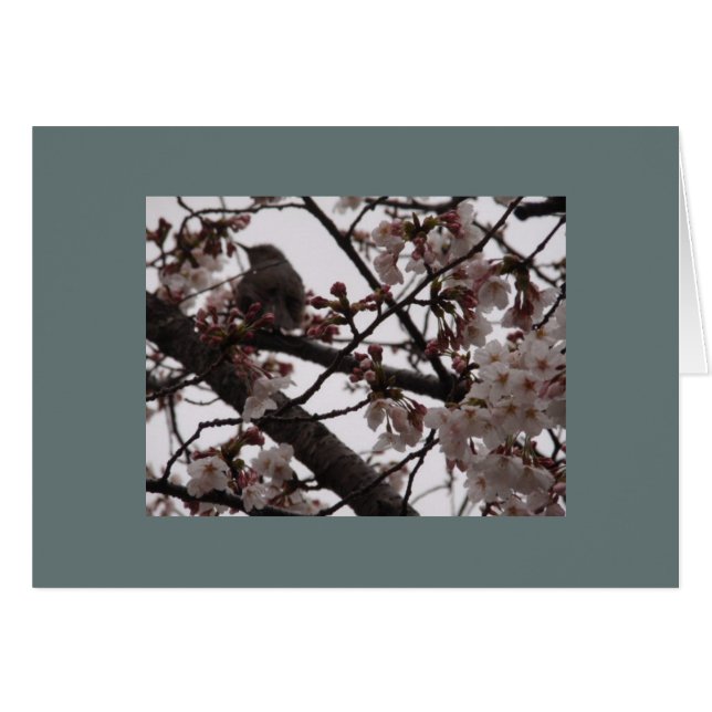 Cartão Sakura (Frente Horizontal)